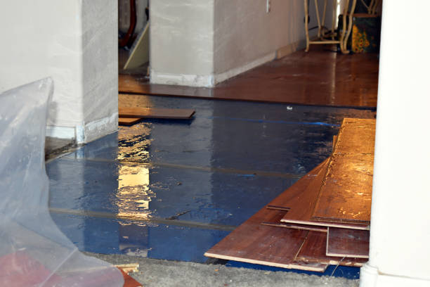 Professional Burst Pipe Cleanup technician working in Marlette, MI